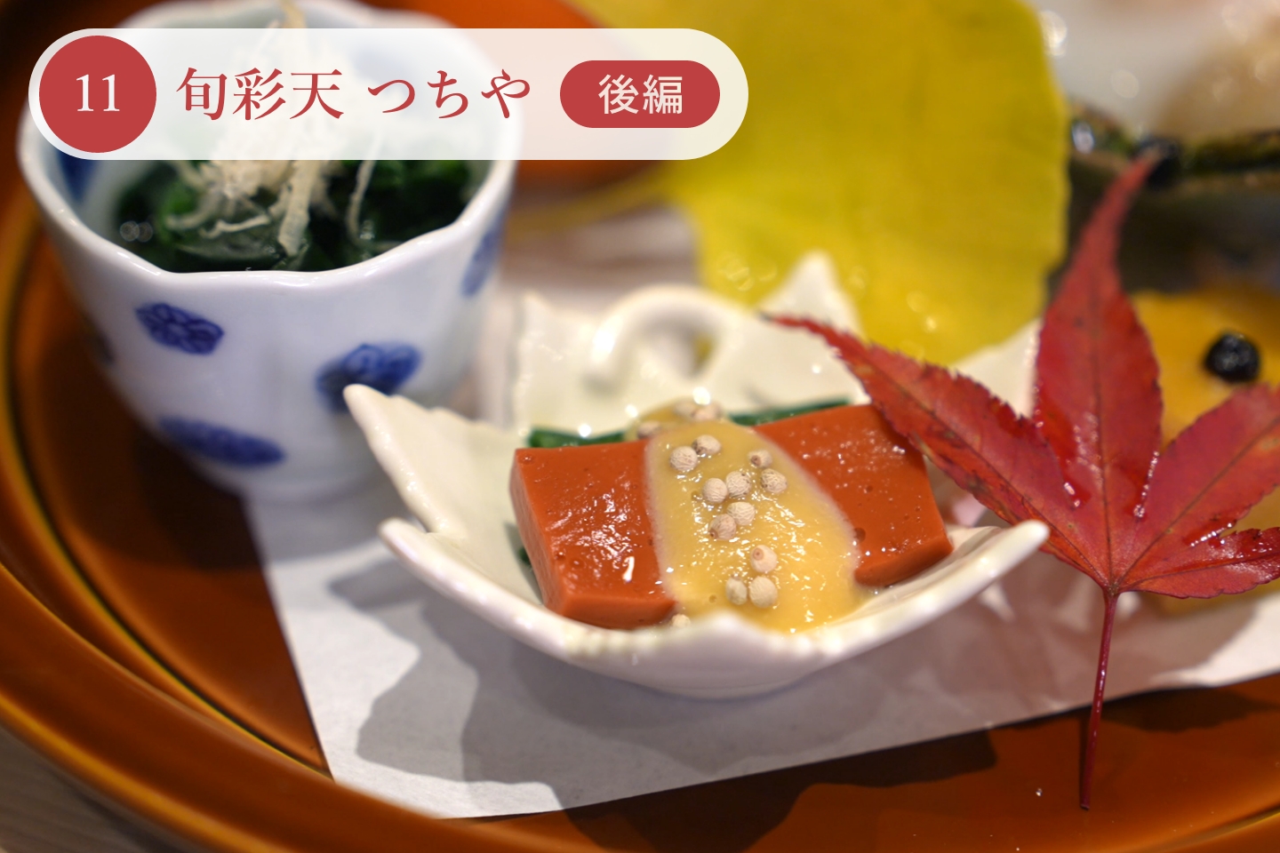 プロが選ぶ、綿実油 | Cotton Oils Guide