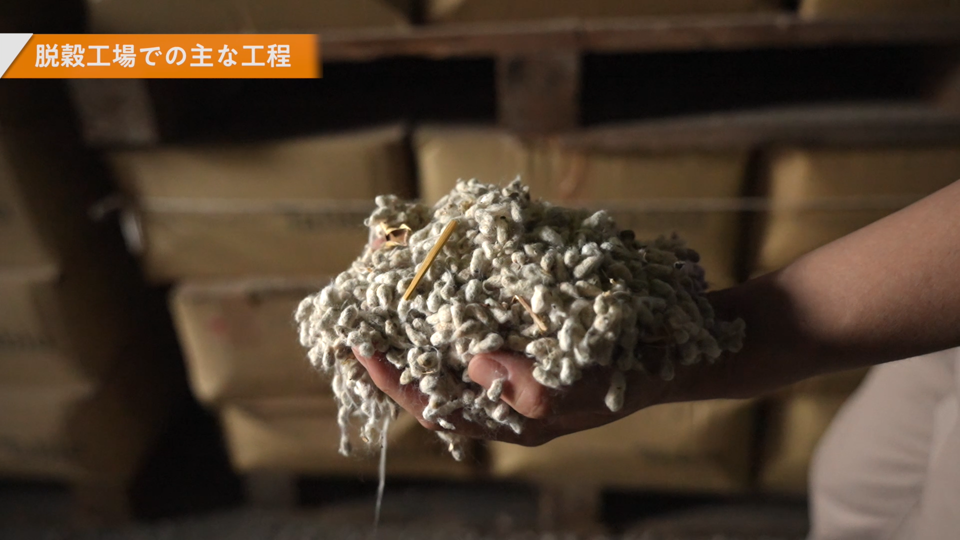 「国内唯一の綿実搾油メーカーとしての誇りを胸に」 綿実油が生まれる場所へ 〜岡村製油 現場探訪〜 | Cotton Oils Guide